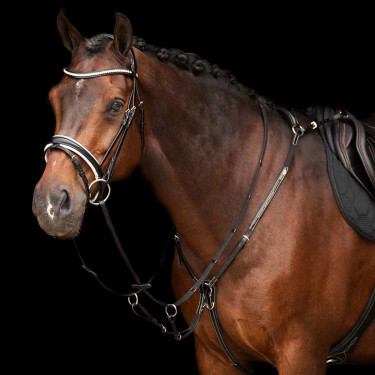 Martingale HV Polo Legacy Martingale HV Polo Legacy