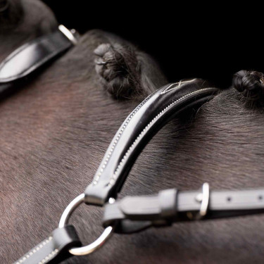 Martingale HV Polo Legacy Martingale HV Polo Legacy