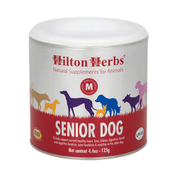 Senior dog Hilton Herbs