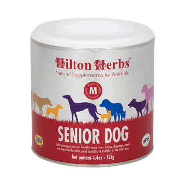 Senior dog Hilton Herbs Senior dog Hilton Herbs
