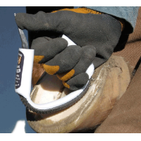 Râpe Bar & Sole Pro pour Sabots - Matériel d'Équitation