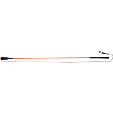 Stick éthologique Whip & Go Stick éthologique Whip & Go