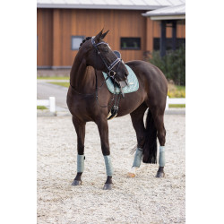 Tapis de selle Imperial Riding Sky DR Vert sauge Tapis de selle Imperial Riding Sky DR Vert sauge