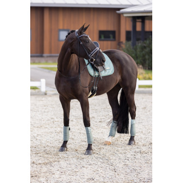 Tapis de selle Imperial Riding Sky DR Tapis de selle Imperial Riding Sky DR