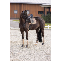 Tapis de selle Imperial Riding Sky GP Cappuccino Marron Tapis de selle Imperial Riding Sky GP Cappuccino Marron