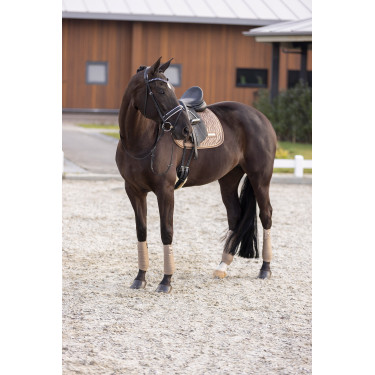 Tapis de selle Imperial Riding Sky GP Cappuccino Marron Tapis de selle Imperial Riding Sky GP Cappuccino Marron