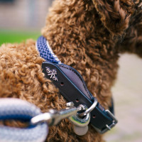 Collier pour chien HV Polo Franka Rope Marine Bleu marine Collier pour chien HV Polo Franka Rope Marine Bleu marine