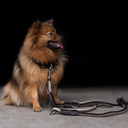 Collier pour chien HV Polo Franka Rope Marron / beige