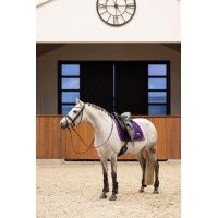 Guêtres Imperial Riding Lovely Vert sauge