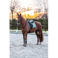 Guêtres Imperial Riding Lovely Vert sauge Guêtres Imperial Riding Lovely Vert sauge