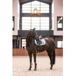 Guêtres Imperial Riding Lovely Vert sauge Guêtres Imperial Riding Lovely Vert sauge