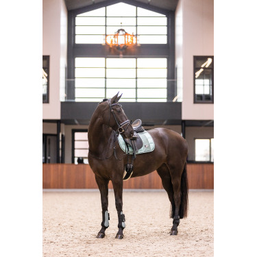 Guêtres Imperial Riding Lovely Vert sauge Guêtres Imperial Riding Lovely Vert sauge