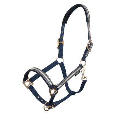 Licol HV Polo Ashley Licol HV Polo Ashley