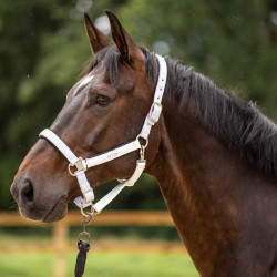 Licol HV Polo Skye Blanc