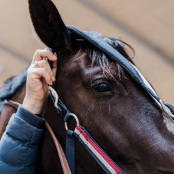 Licol Kingsland Classic avec Polaire Marine Bleu marine Licol Kingsland Classic avec Polaire Marine Bleu marine