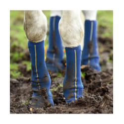 Guêtres Close contact chaps Equilibrium Bleu marine