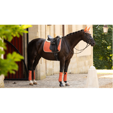 Bandes de polo LeMieux Luxury Bandes de polo LeMieux Luxury