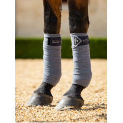 Bandes de polo LeMieux Luxury Bleu jay