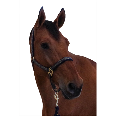 Set licol + longe Sonoma Canter Set licol + longe Sonoma Canter