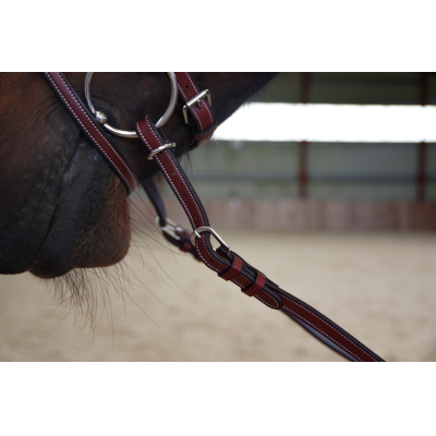 Rênes viennoises Quick Snap - Enrênements de longe - Equitation
