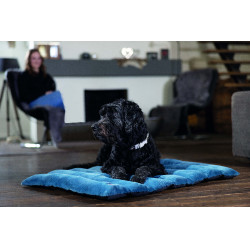 Collier de chien HKM Anam Cara nylon Taupe Marron Collier de chien HKM Anam Cara nylon Taupe Marron