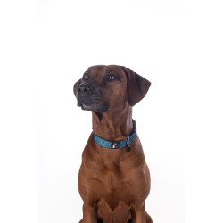 Collier de chien HKM Anam Cara nylon Pétrole Bleu
