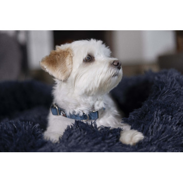 Collier de chien HKM Anam Cara nylon Pétrole Bleu