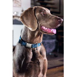 Collier de chien HKM Anam Cara nylon Pétrole Bleu