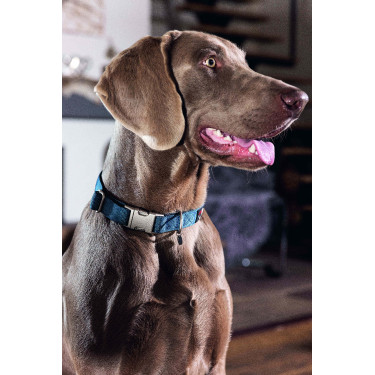 Collier de chien HKM Anam Cara nylon Pétrole Bleu