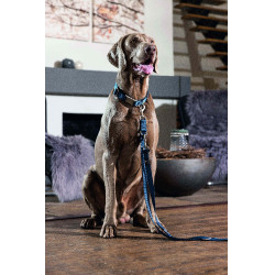 Collier de chien HKM Anam Cara nylon Pétrole Bleu