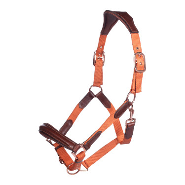 Licol HKM Edinburgh Brandy Marron