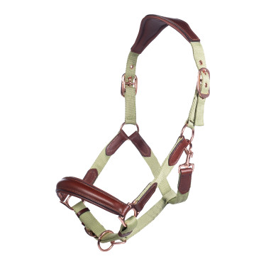 Licol HKM Edinburgh Licol HKM Edinburgh