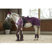T-shirt technique HKM Arctic Bay manches longues Lilas foncé Violet