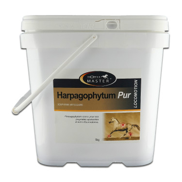 Harpagophytum pur semoulette Horse Master Harpagophytum pur semoulette Horse Master