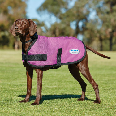 Manteau pour chien WeatherBeeta ComFiTec Classic Manteau pour chien WeatherBeeta ComFiTec Classic