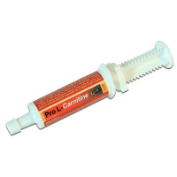 Seringue Pro L Carnitine Horse Master