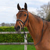 Bridon Clincher Jump'In One Premium Noir