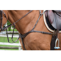 Collier de chasse Jump'In cinq points et martingale Noir