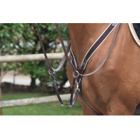 Collier de chasse Jump'In élastique et martingale Noir