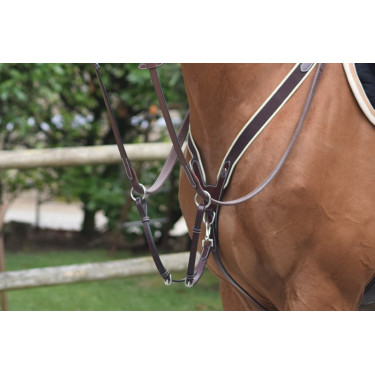 Collier de chasse Jump'In élastique et martingale Collier de chasse Jump'In élastique et martingale