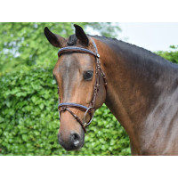 Filet Jump'In Crystal muserolle combinée Week Havane cristal bleu Filet Jump'In Crystal muserolle combinée Week Havane cristal bleu