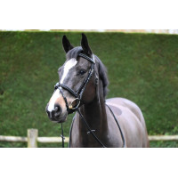 Filet Jump'In Crystal muserolle combinée Week Noir Filet Jump'In Crystal muserolle combinée Week Noir