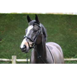 Filet Jump'In Crystal muserolle combinée Week Noir Filet Jump'In Crystal muserolle combinée Week Noir