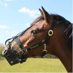 Panier Greenguard Noir Panier Greenguard Noir