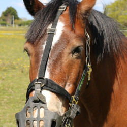 Panier Greenguard Noir Panier Greenguard Noir