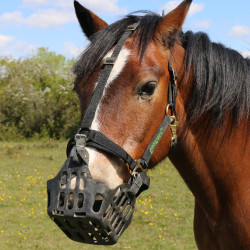 Panier Greenguard Noir Panier Greenguard Noir