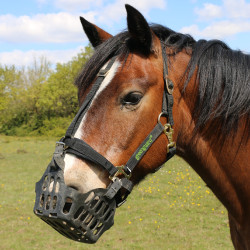 Panier Greenguard Noir Panier Greenguard Noir