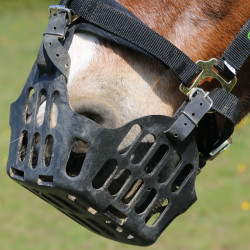 Panier Greenguard Noir Panier Greenguard Noir