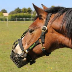 Panier Greenguard Noir Panier Greenguard Noir