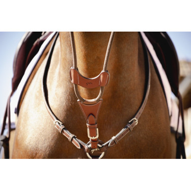 Flèche de martingale Pénélope Bip Light US élastique Flèche de martingale Pénélope Bip Light US élastique